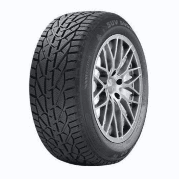 Pneumatiky osobne zimne 195/60R15 88T Riken SNOW